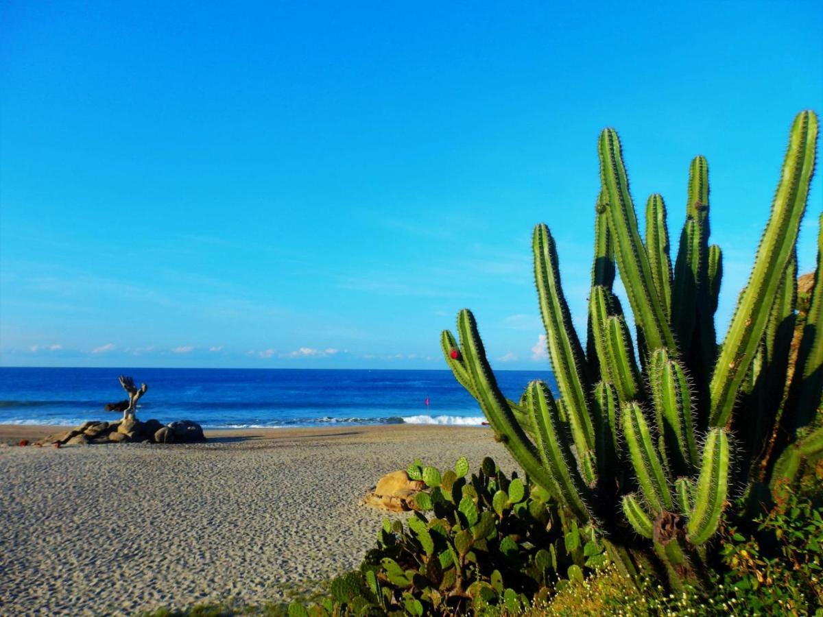 Hotelito Swiss Oasis - Playa Zicatela - Adults Only Puerto Escondido  Dış mekan fotoğraf